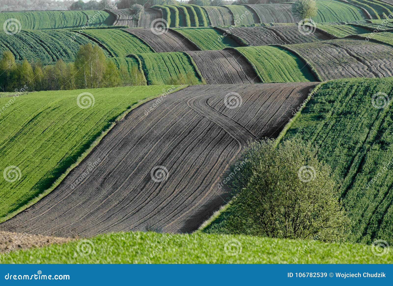 wavy fields, fairy-tale patterns